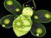 Hummel 17x23cm Anhang